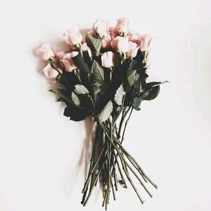 Meet your Posher, Sheleana